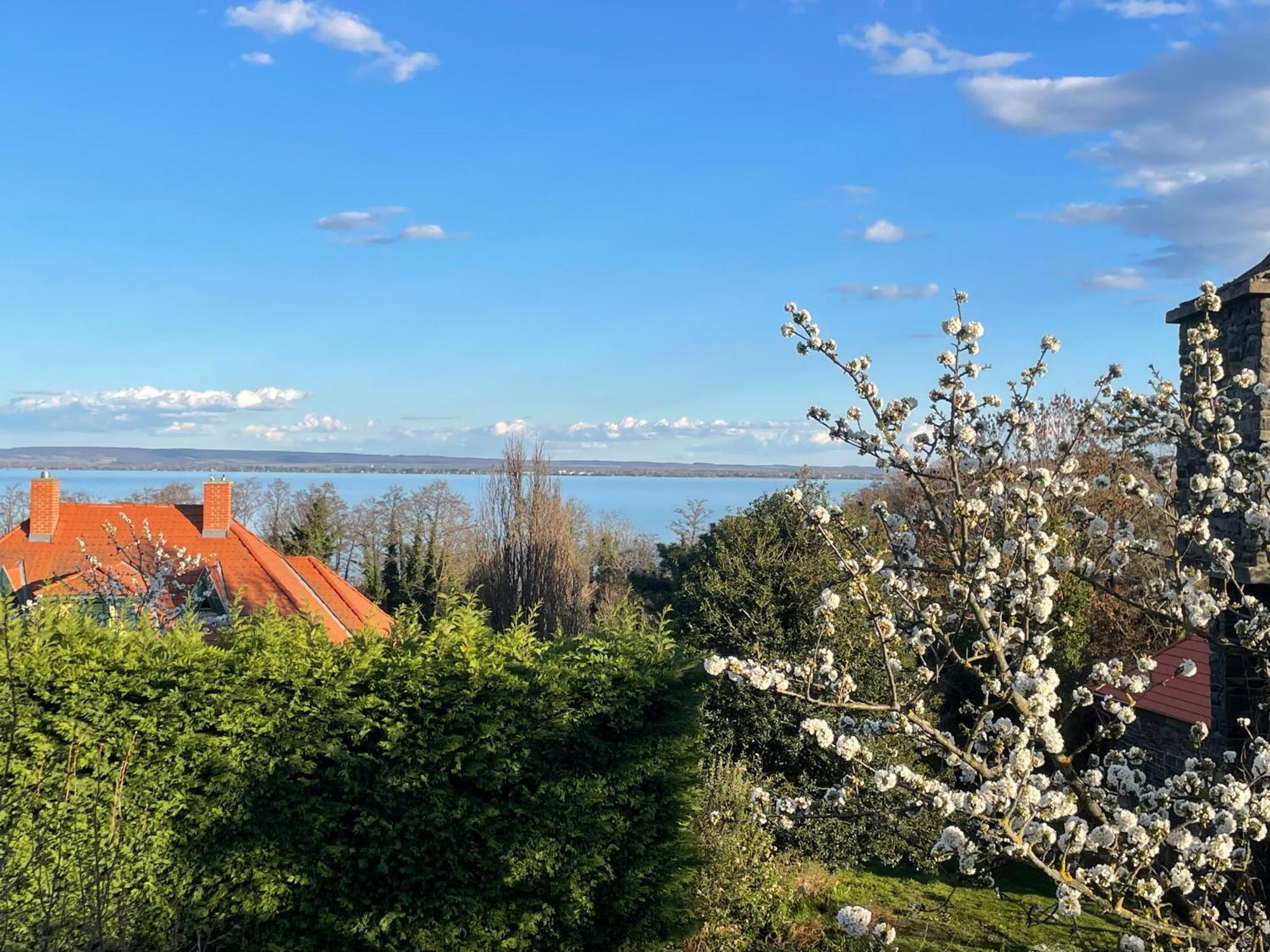 Szoegedi Villa Badacsonytomaj Exterior foto